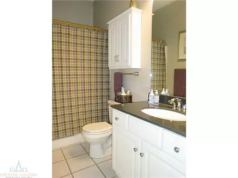 3300 Hollow Spring Dr, Dewitt, MI 48820 photo 16