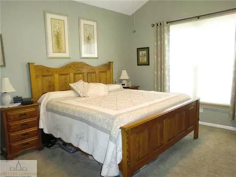 3300 Hollow Spring Dr, Dewitt, MI 48820 photo 13