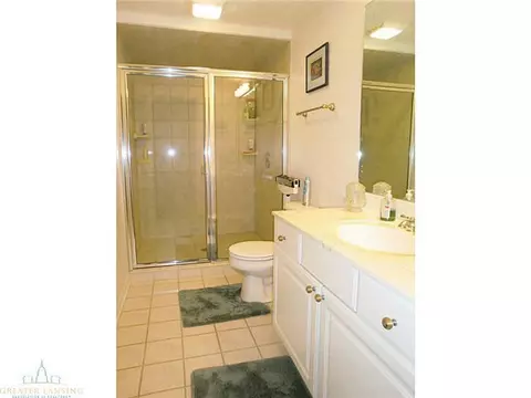 3300 Hollow Spring Dr, Dewitt, MI 48820 photo 22