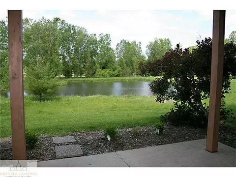 664 Pine Meadow Ln, Williamston, MI 48895 photo 22