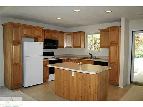 664 Pine Meadow Ln, Williamston, MI 48895 photo 7