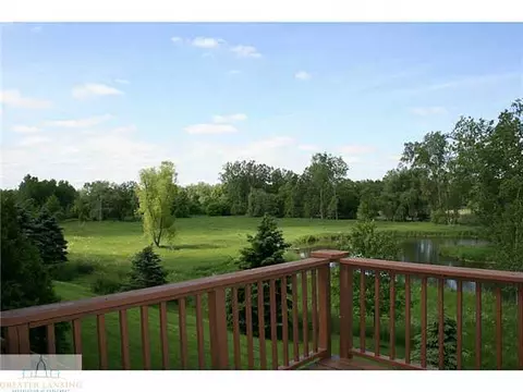 664 Pine Meadow Ln, Williamston, MI 48895 photo 20