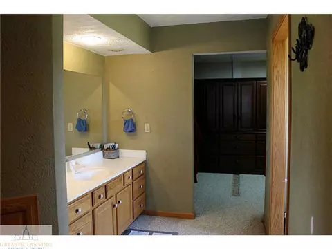 9393 S Hinman, Eagle, MI 48822 photo 8
