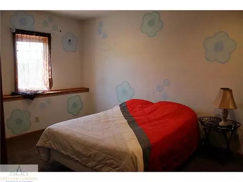 9393 S Hinman, Eagle, MI 48822 photo 13
