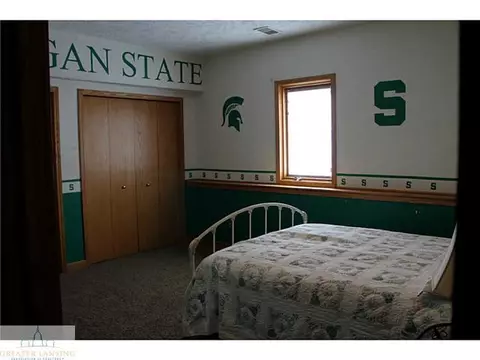 9393 S Hinman, Eagle, MI 48822 photo 12