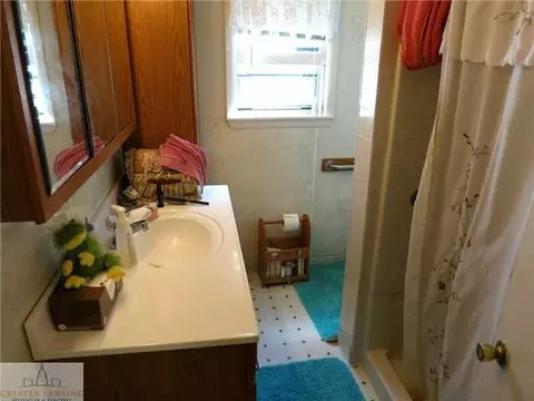 370 Walnut St, Dimondale, MI 48821 photo 8