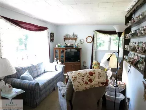 370 Walnut St, Dimondale, MI 48821 photo 10