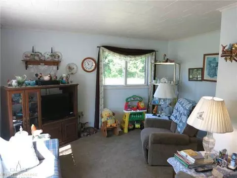 370 Walnut St, Dimondale, MI 48821 photo 3