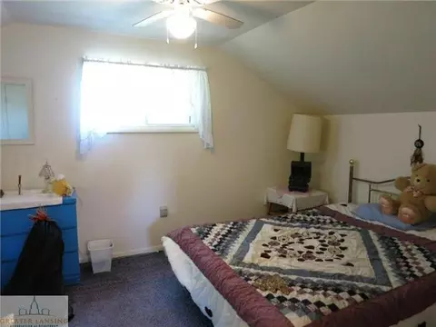 370 Walnut St, Dimondale, MI 48821 photo 13