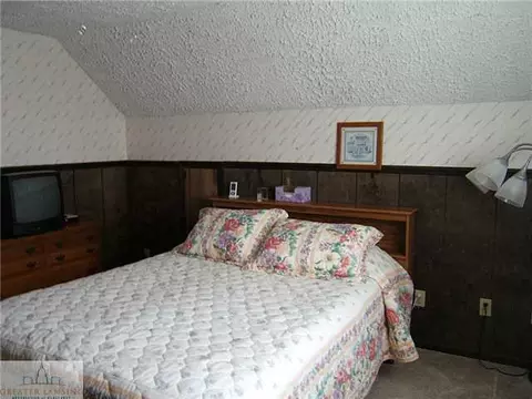 1723 E Colony St, Saint Johns, MI 48879 photo 14