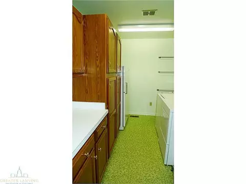 11220 Harpham, Eagle, MI 48822 photo 22