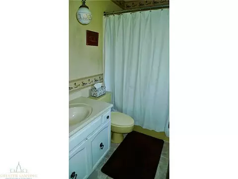 11220 Harpham, Eagle, MI 48822 photo 21