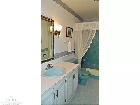 11220 Harpham, Eagle, MI 48822 photo 15