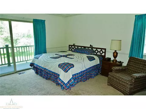 11220 Harpham, Eagle, MI 48822 photo 14