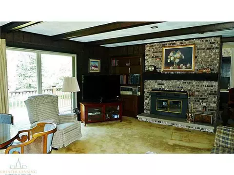 11220 Harpham, Eagle, MI 48822 photo 10