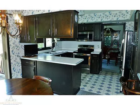 11220 Harpham, Eagle, MI 48822 photo 7