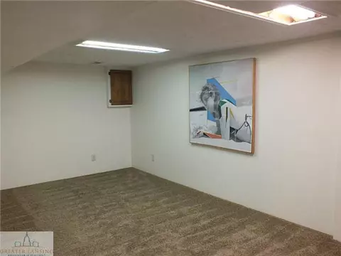 425 Wild Oak Ln, Perry, MI 48872 photo 18