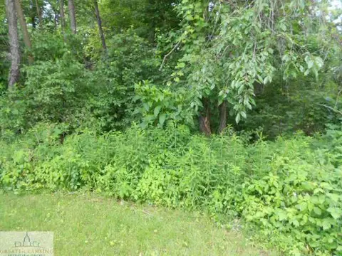 6684 Marshall Rd, Olivet, MI 49076 photo 21