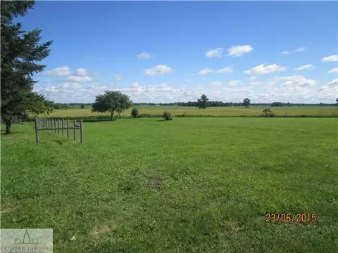 4416 M-52, Williamston, MI 48895 photo 24