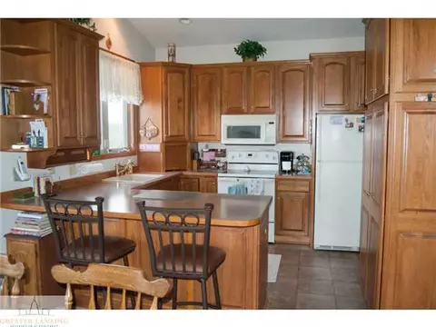 11333 Risner Ln, Eaton Rapids, MI 48827 photo 3