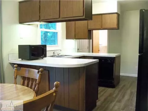 1175 Sanborn Dr, Dewitt, MI 48820 photo 4