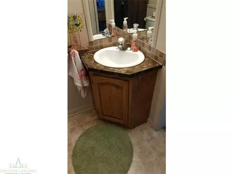 402 N Bridge St, Dewitt, MI 48820 photo 13