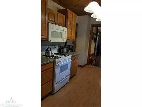 402 N Bridge St, Dewitt, MI 48820 photo 11