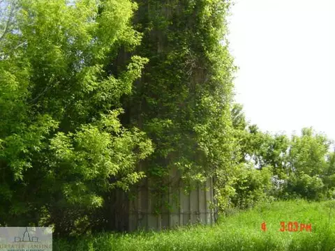 9707 Cutler Rd, Eagle, MI 48822 photo 10