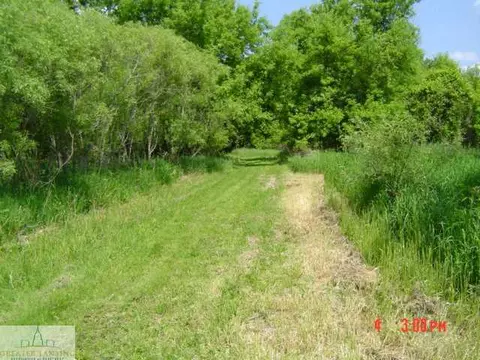 9707 Cutler Rd, Eagle, MI 48822 photo 9