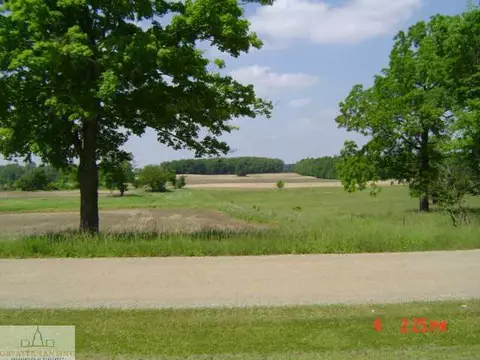 9707 Cutler Rd, Eagle, MI 48822 photo 4