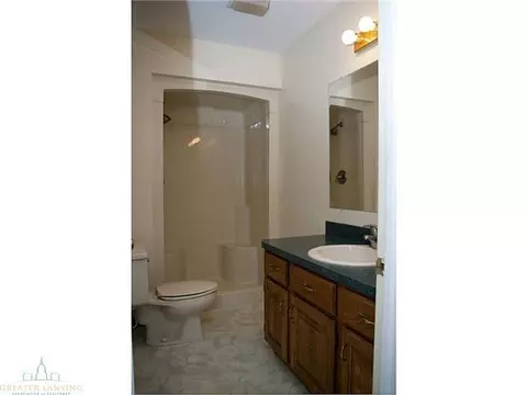 812 Birchwood, Dewitt, MI 48820 photo 22