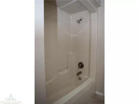 812 Birchwood, Dewitt, MI 48820 photo 13