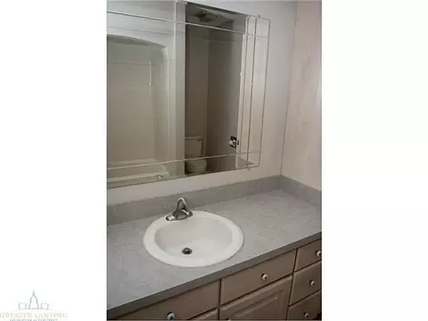 812 Birchwood, Dewitt, MI 48820 photo 14