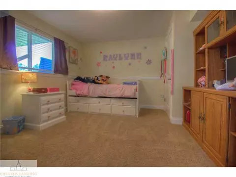 9920 Founders Lndg, Dewitt, MI 48820 photo 15