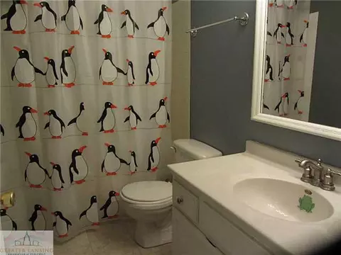 11590 Norris Rd, Dewitt, MI 48820 photo 11