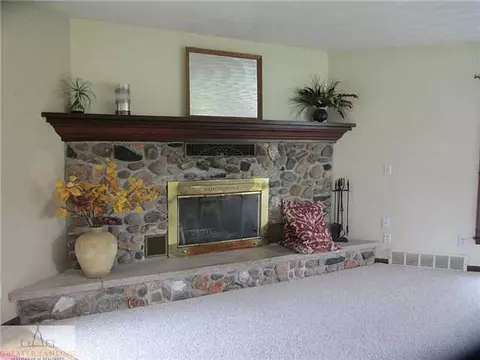 11590 Norris Rd, Dewitt, MI 48820 photo 3