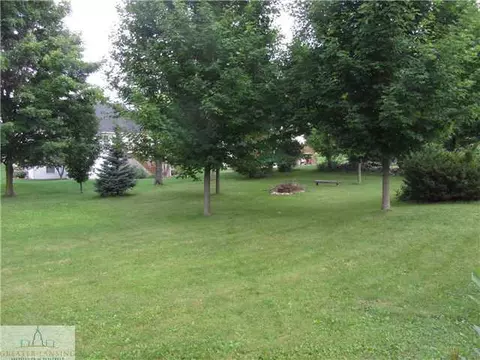 11590 Norris Rd, Dewitt, MI 48820 photo 24