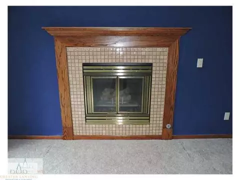 6500 Lansdown, Dimondale, MI 48821 photo 14