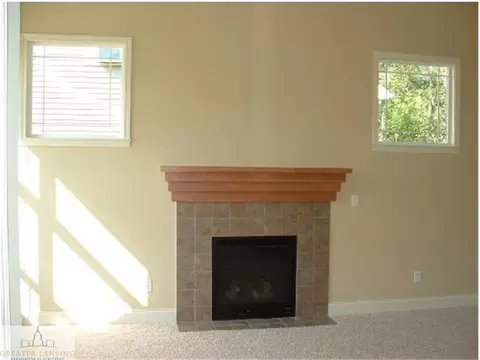 6765 Thunder Ln, Lansing, MI 48906 photo 4