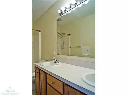 11882 Sara Ann Dr, Dewitt, MI 48820 photo 18