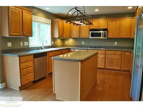 11882 Sara Ann Dr, Dewitt, MI 48820 photo 8