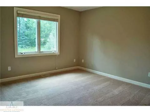 11882 Sara Ann Dr, Dewitt, MI 48820 photo 19