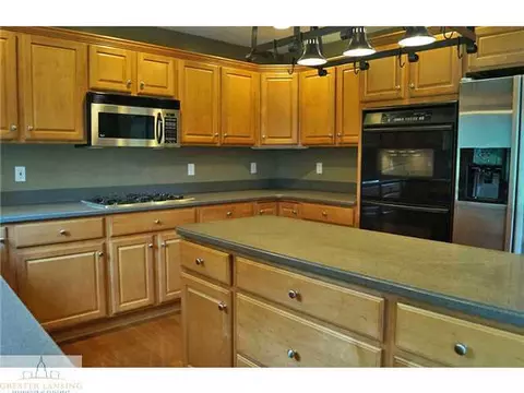 11882 Sara Ann Dr, Dewitt, MI 48820 photo 9