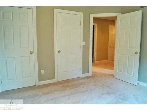 11882 Sara Ann Dr, Dewitt, MI 48820 photo 20