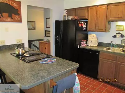5225 Barton Rd, Williamston, MI 48895 photo 6