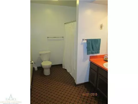 5225 Barton Rd, Williamston, MI 48895 photo 17