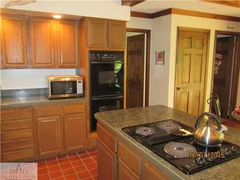 5225 Barton Rd, Williamston, MI 48895 photo 5