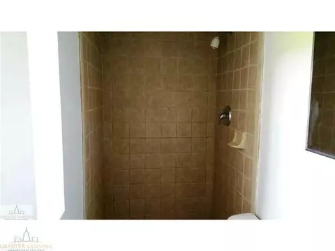 904 E Webb, Dewitt, MI 48820 photo 9