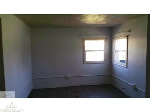 904 E Webb, Dewitt, MI 48820 photo 3