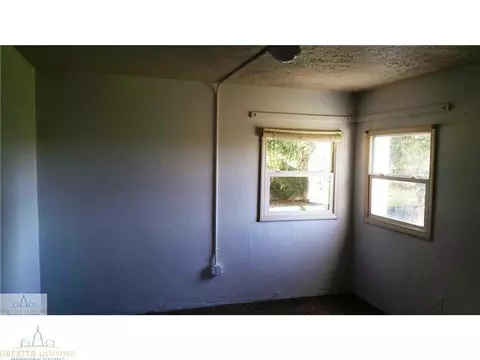 904 E Webb, Dewitt, MI 48820 photo 6